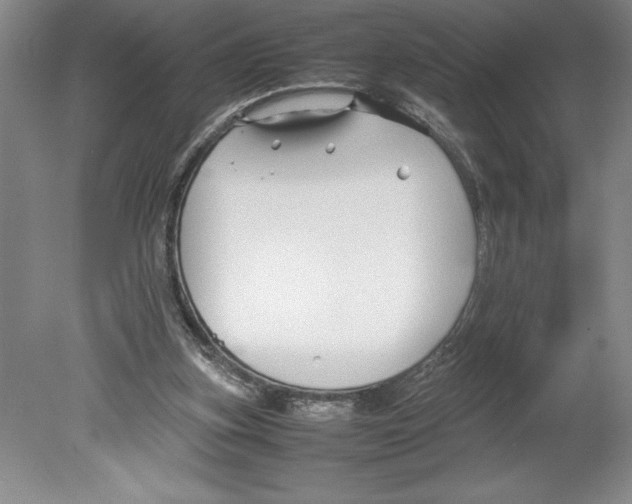 X0000078840155200612111604