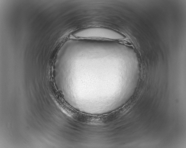 X0000078840157200612111604