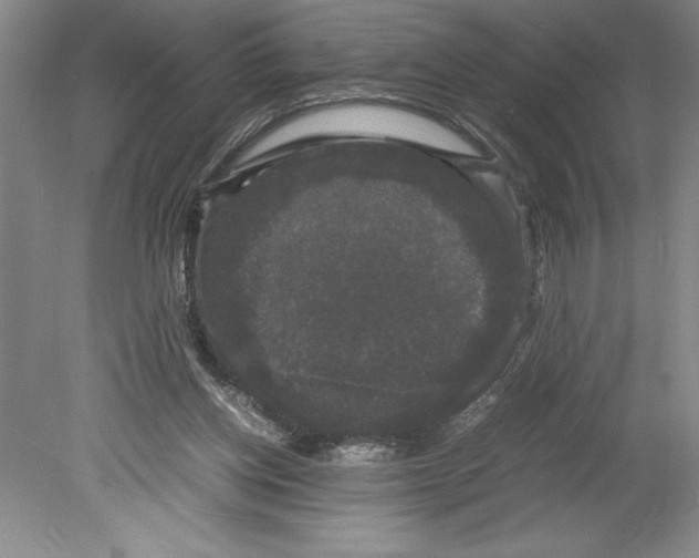 X0000078840158200612111604