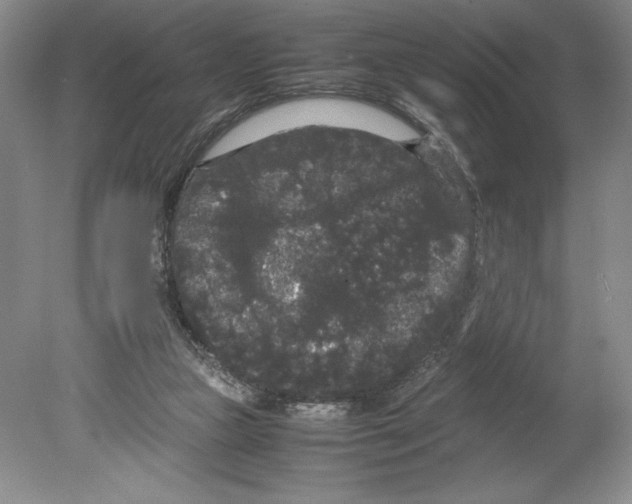 X0000078840161200612111604