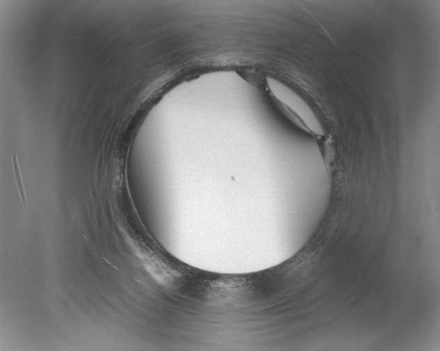 X0000078840164200612111604