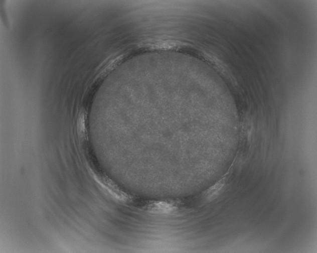 X0000078840166200612111604