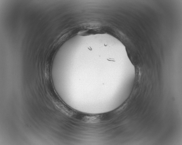 X0000078840170200612111605