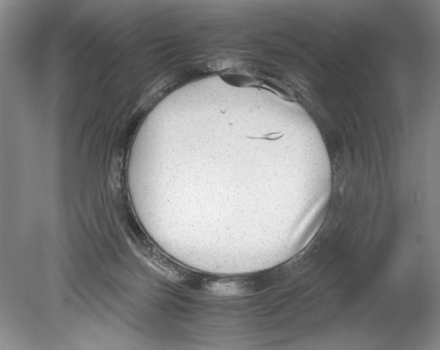 X0000078840171200612111605