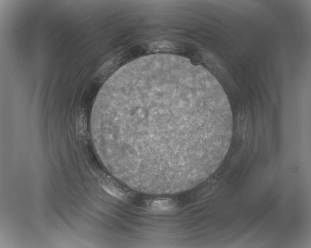 X0000078840173200612111605