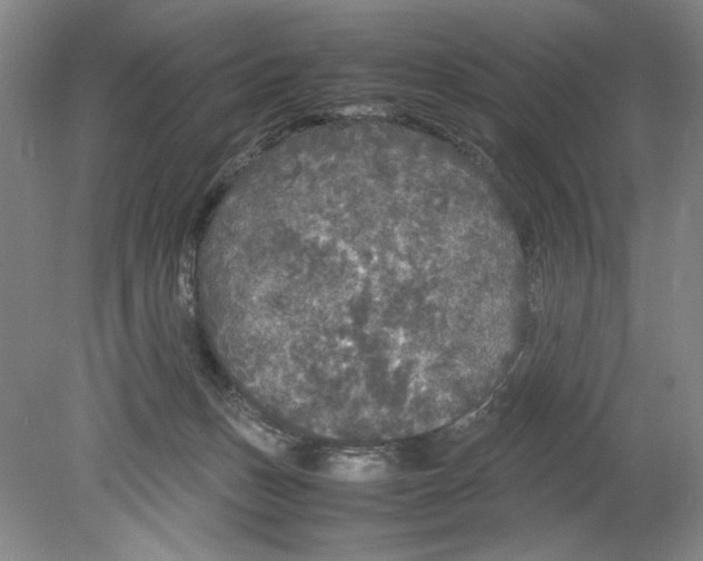 X0000078840175200612111605