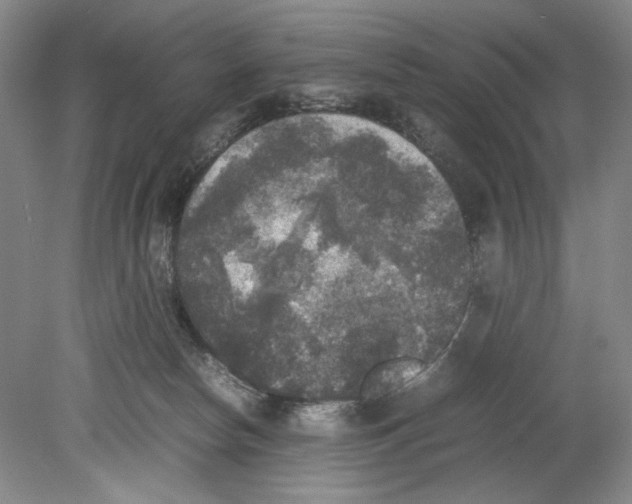 X0000078840178200612111605