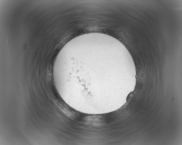 X0000078840179200612111605