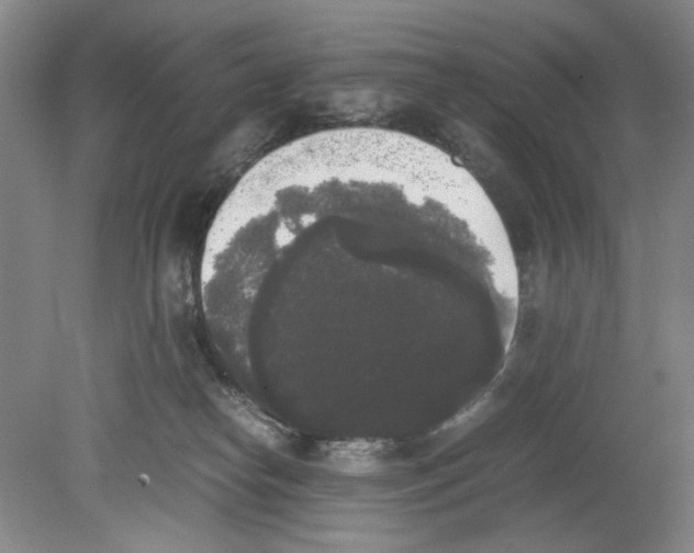 X0000078840182200612111605