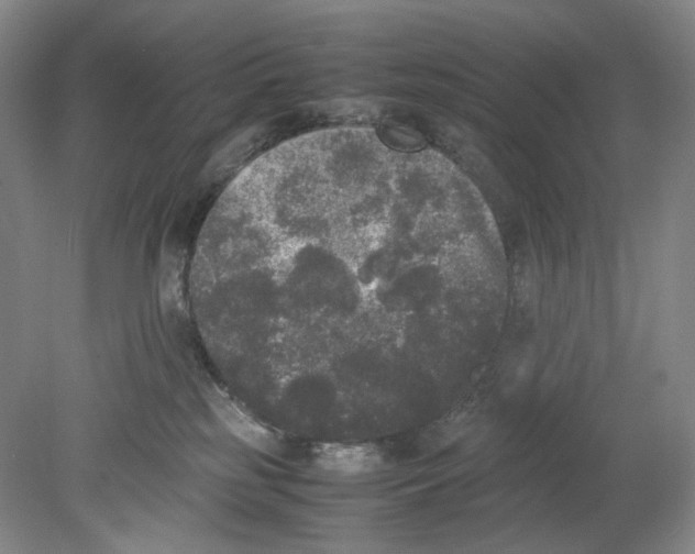 X0000078840185200612111605