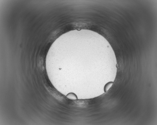 X0000078840187200612111605