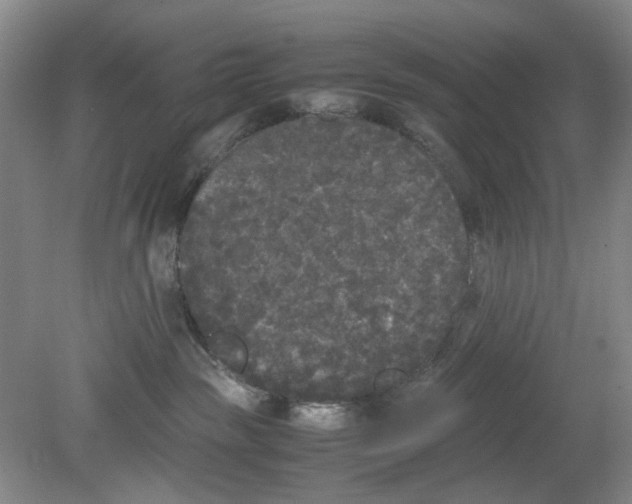 X0000078840189200612111605