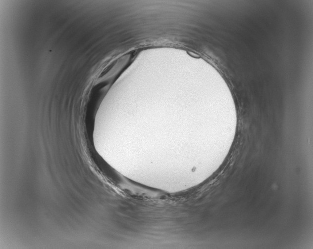 X0000078840193200612111604