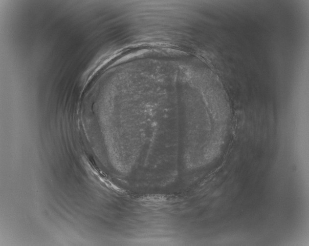 X0000078840194200612111604