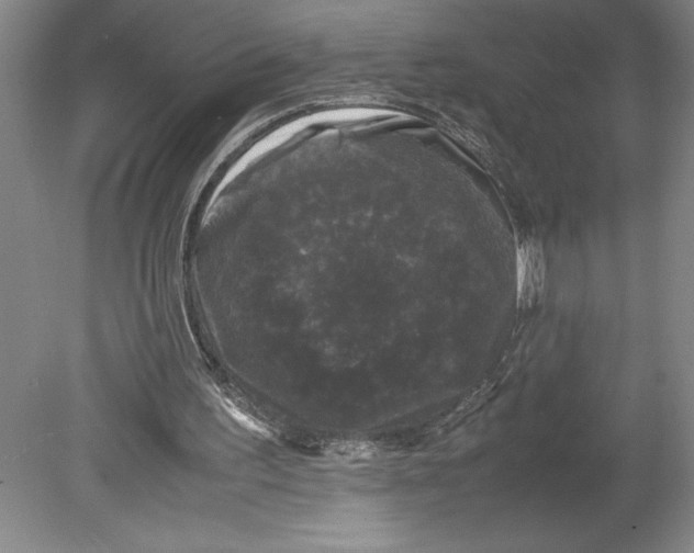 X0000078840195200612111604