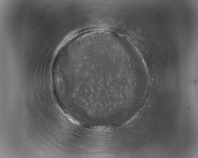 X0000078840198200612111604