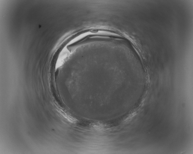 X0000078840199200612111604