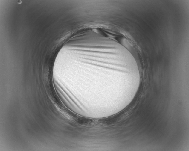 X0000078840201200612111604