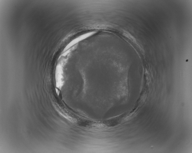 X0000078840203200612111604