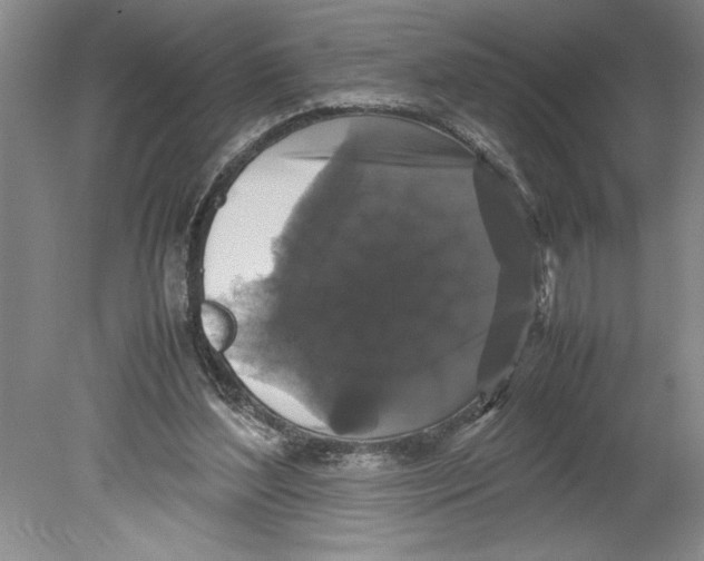 X0000078840204200612111604