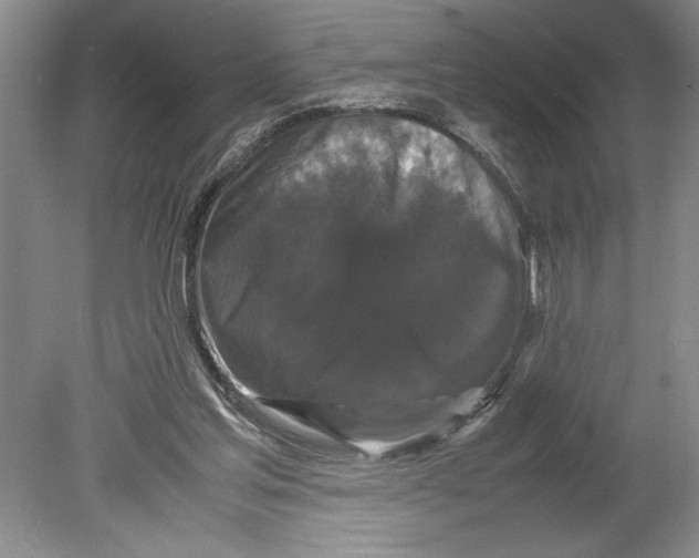 X0000078840205200612111604