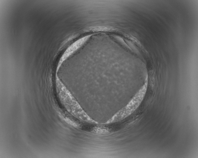 X0000078840207200612111604