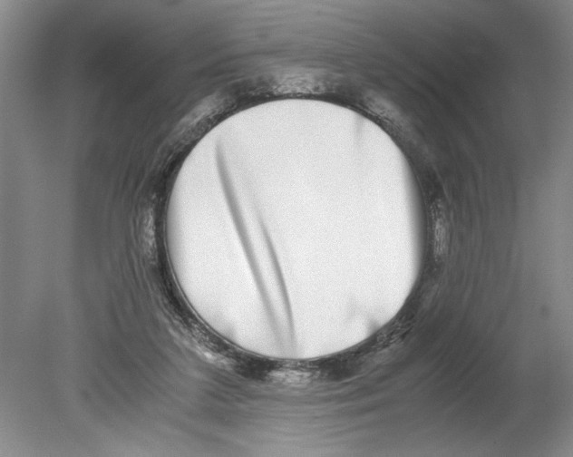 X0000078840211200612111604