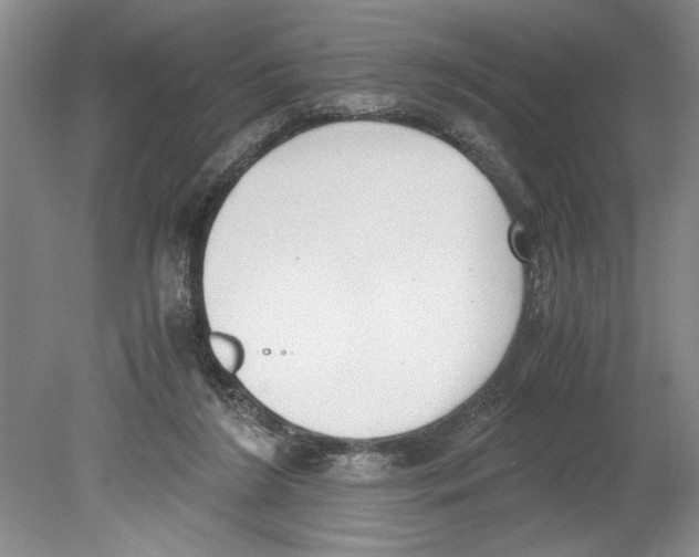 X0000078840212200612111604