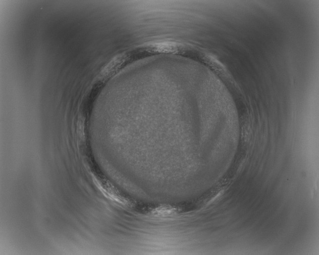 X0000078840213200612111604