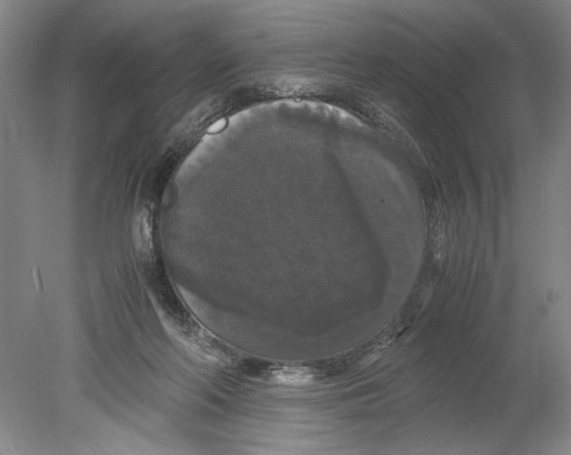 X0000078840214200612111604