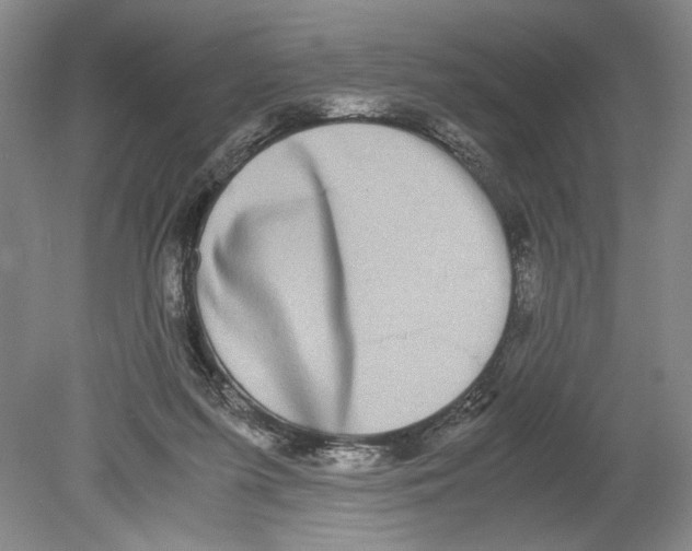 X0000078840215200612111604