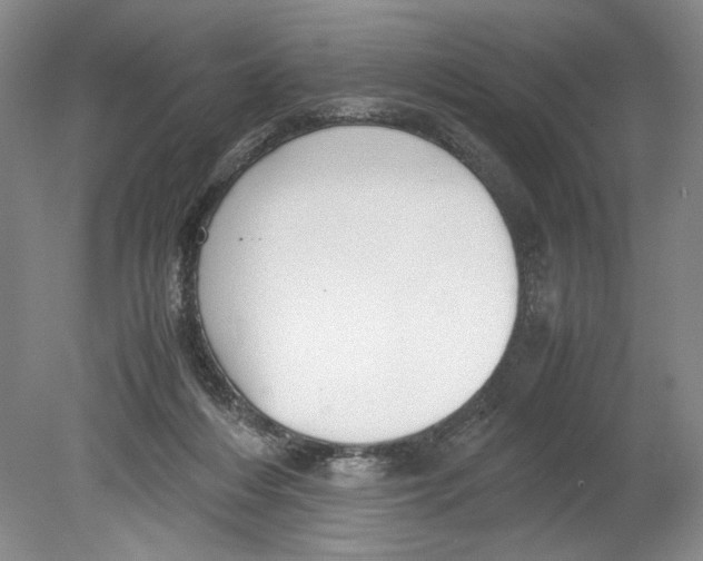 X0000078840216200612111604