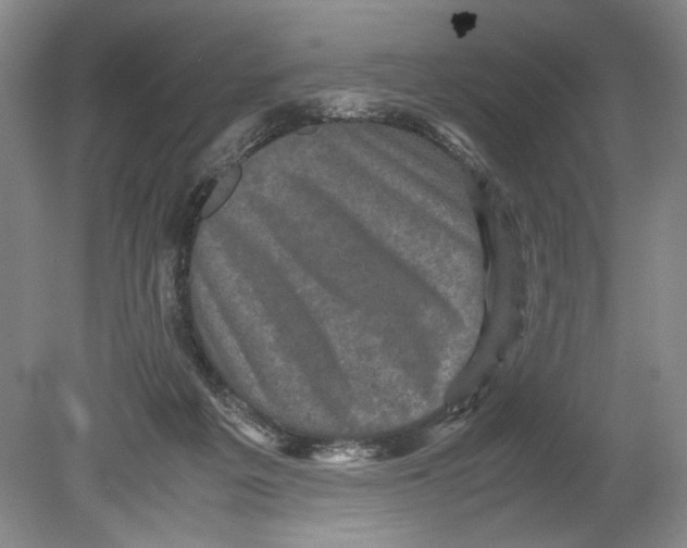 X0000078840217200612111604