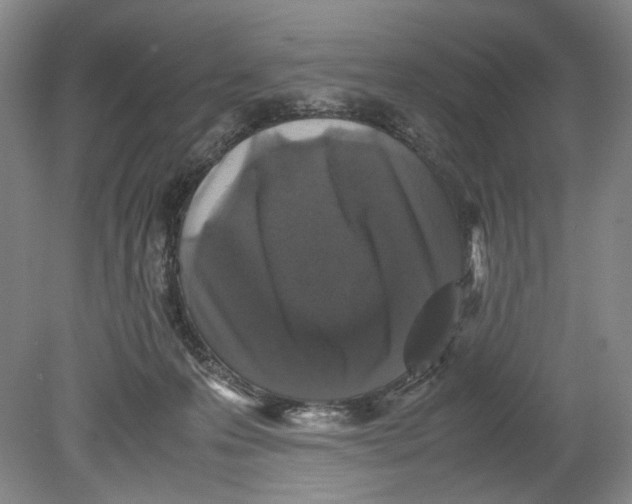 X0000078840223200612111604