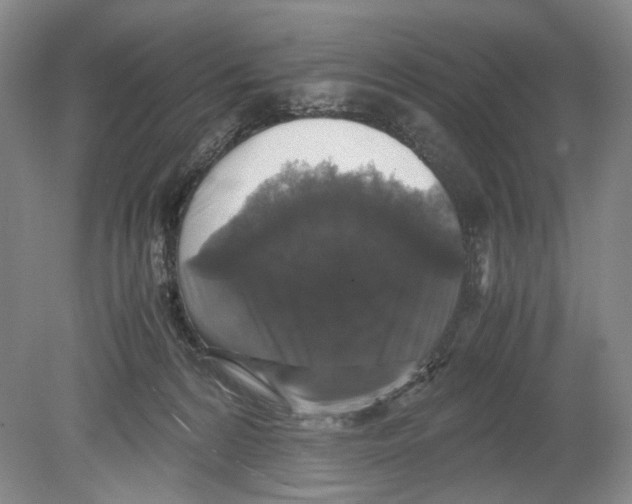 X0000078840224200612111604