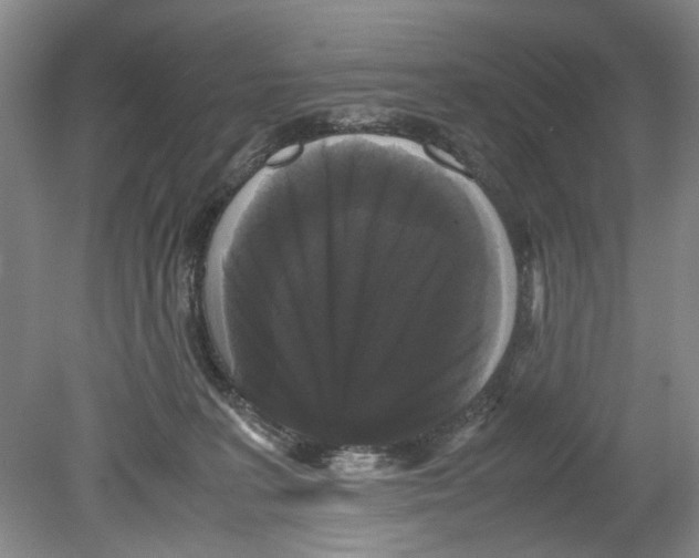 X0000078840227200612111604