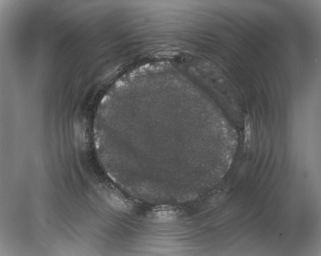 X0000078840228200612111604