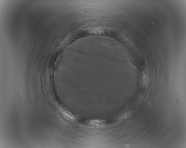 X0000078840229200612111604