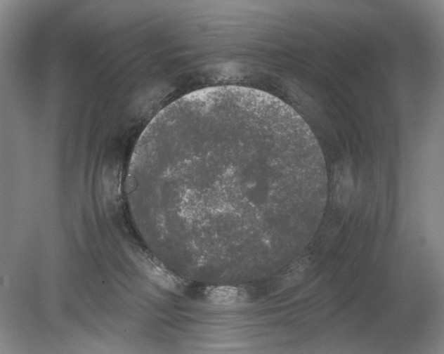 X0000078840230200612111603