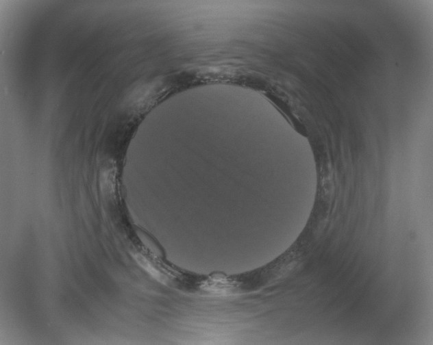 X0000078840231200612111603