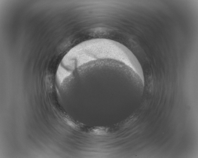 X0000078840232200612111603