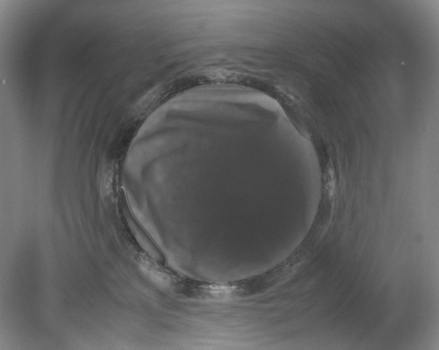 X0000078840233200612111603