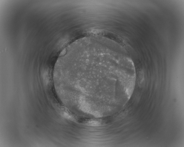 X0000078840236200612111603