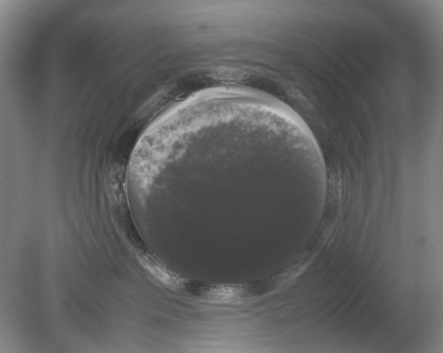 X0000078840237200612111603