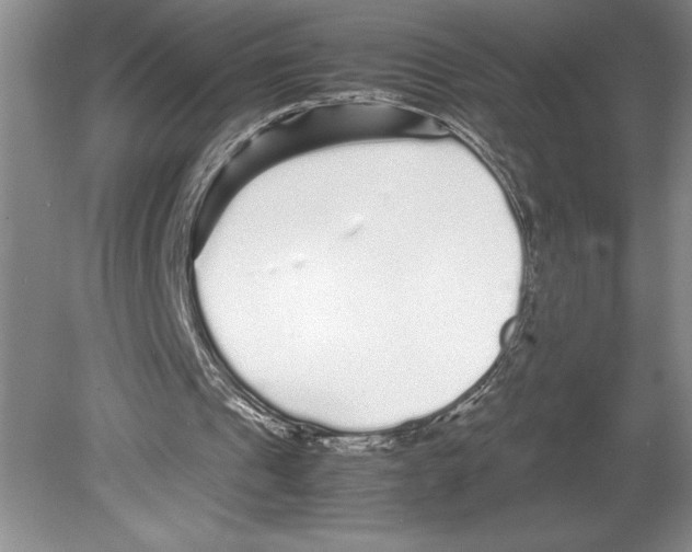 X0000078840241200612111603