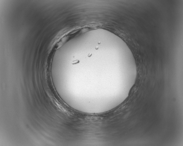 X0000078840242200612111603