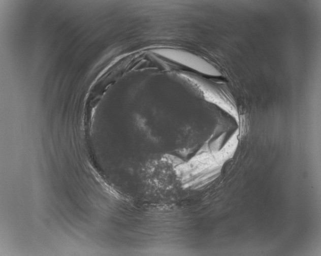 X0000078840243200612111603