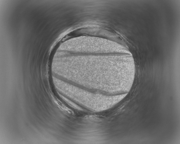 X0000078840244200612111603