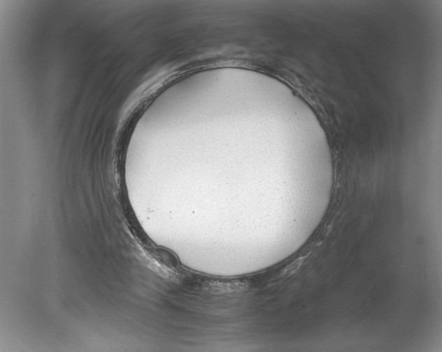 X0000078840245200612111603