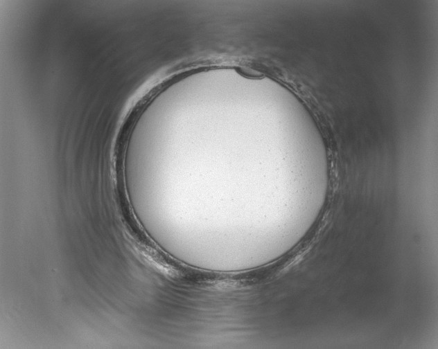 X0000078840246200612111603